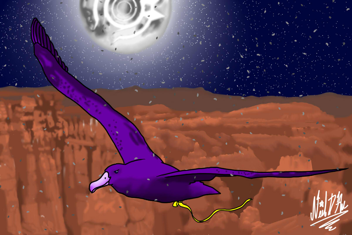 chapter-banner-background
